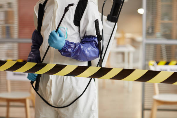 Professional Sewage Cleanup technician working in Nashville, MI
